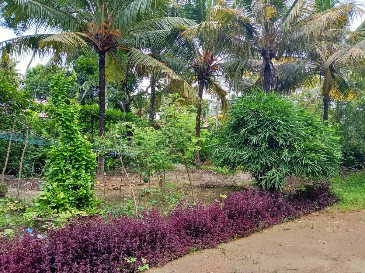 Marari Bethsaida Homestay Shertallai Extérieur photo